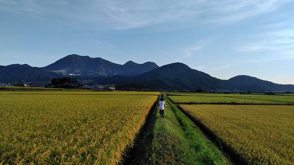 木島平村田園風景